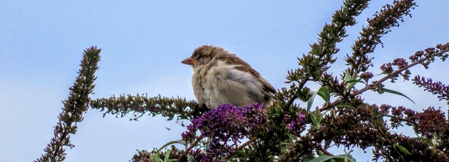 trend gallery Cover Image