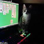 Rosalee Lynch Profile Picture