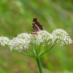 trend gallery Profile Picture