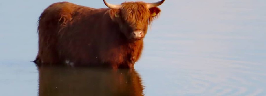 viral post Cover Image