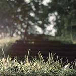 Oma McGlynn Profile Picture