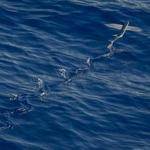 Maritza Lynch Profile Picture