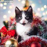 Polly Roob Profile Picture