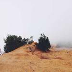 Hershel Collier Profile Picture