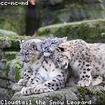 Kiera Koepp Profile Picture