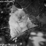 Destin Walker Profile Picture