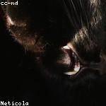 Emilio Moen Profile Picture