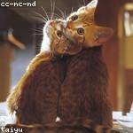 Kaitlyn Bauch Profile Picture