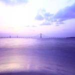 Roma Will Profile Picture