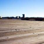 Noble Lesch Profile Picture