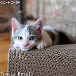 Aliya Gleichner Profile Picture