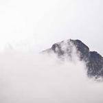 Raymond Mante Profile Picture