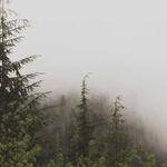 Gregory Cassin Profile Picture