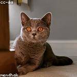 Bethany Leuschke Profile Picture