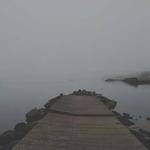 Layne Nienow Profile Picture