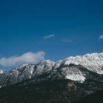 Dora Bergstrom Profile Picture