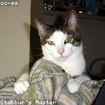 Rudolph DuBuque Profile Picture