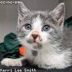 Freddy Schmitt Profile Picture