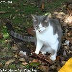 Blaise Cartwright Profile Picture