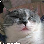 Jacynthe Sanford Profile Picture