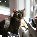 Queen Douglas Profile Picture