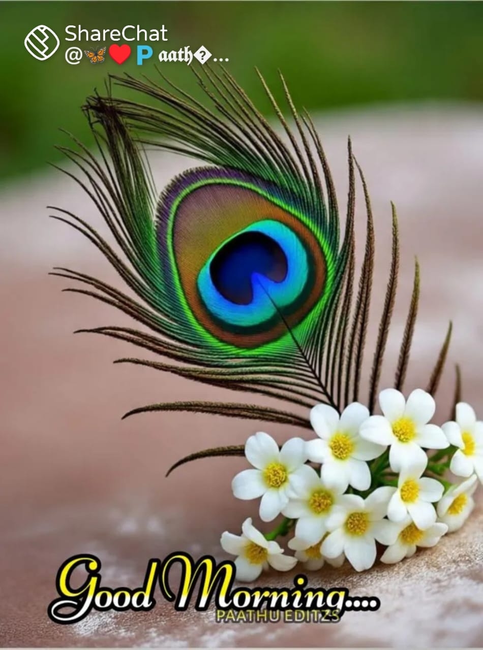 Anilkumar M T Profile Picture